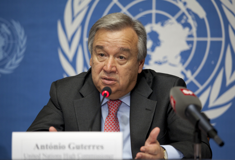 Global clean energy investment reaches USD2.2 trillion in 2025: UN