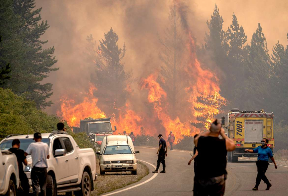 Waldbrände in Patagonien breiten sich weiter aus: Region in schwerer Umweltkrise