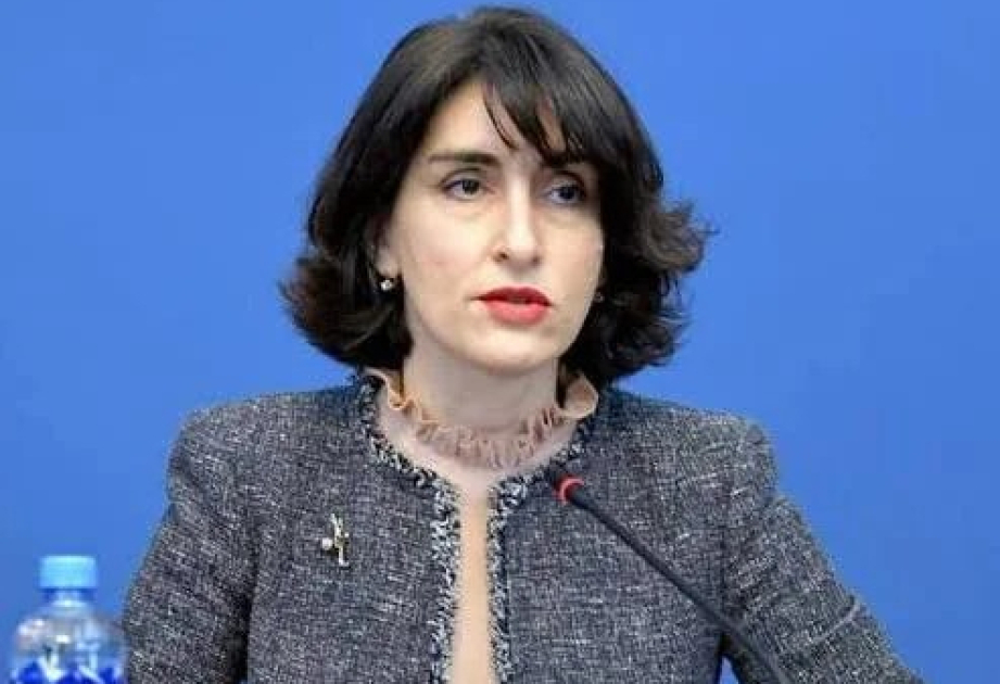 Министр иностранных дел Грузии: Развитие Среднего коридора имеет для нас жизненно важное значение