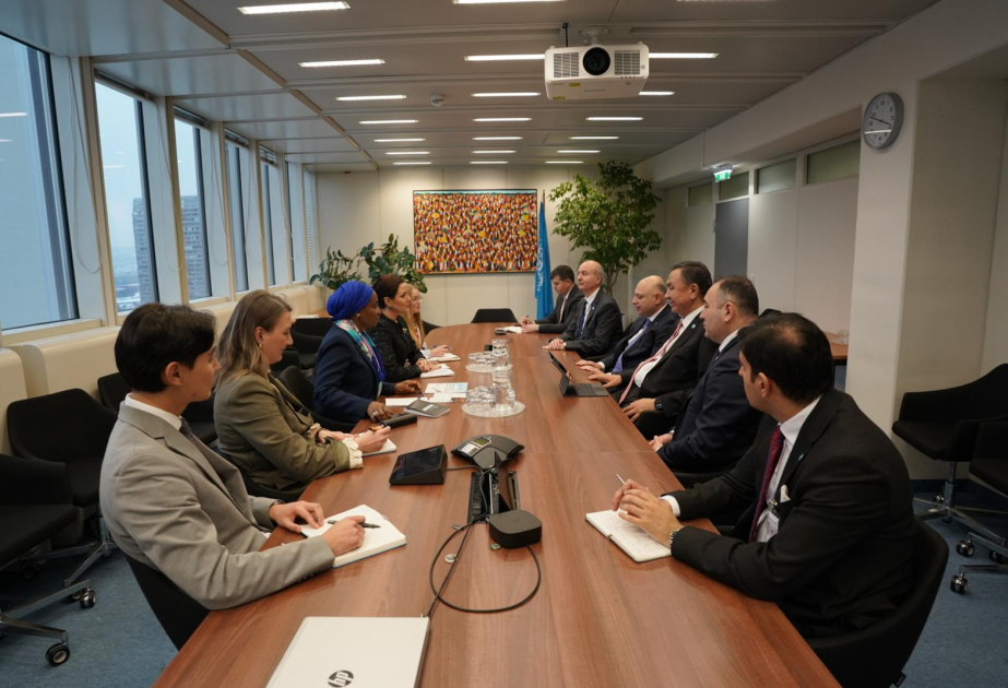 Azerbaijani delegation joins Turkic Week in Vienna