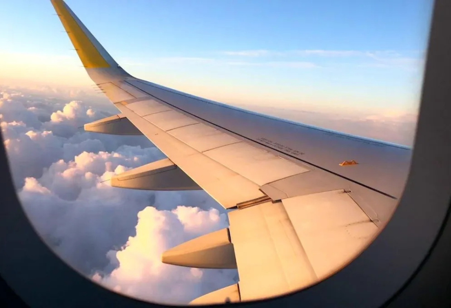 Qazaxıstanda Şımkent üzərində baş vermiş aviainsidentin araşdırılması üzrə komissiya yaradılıb