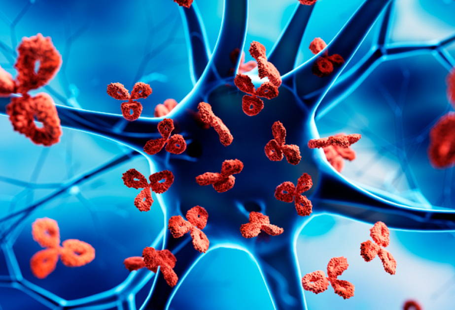 Research breakthrough explains how viral infection can lead to multiple sclerosis
