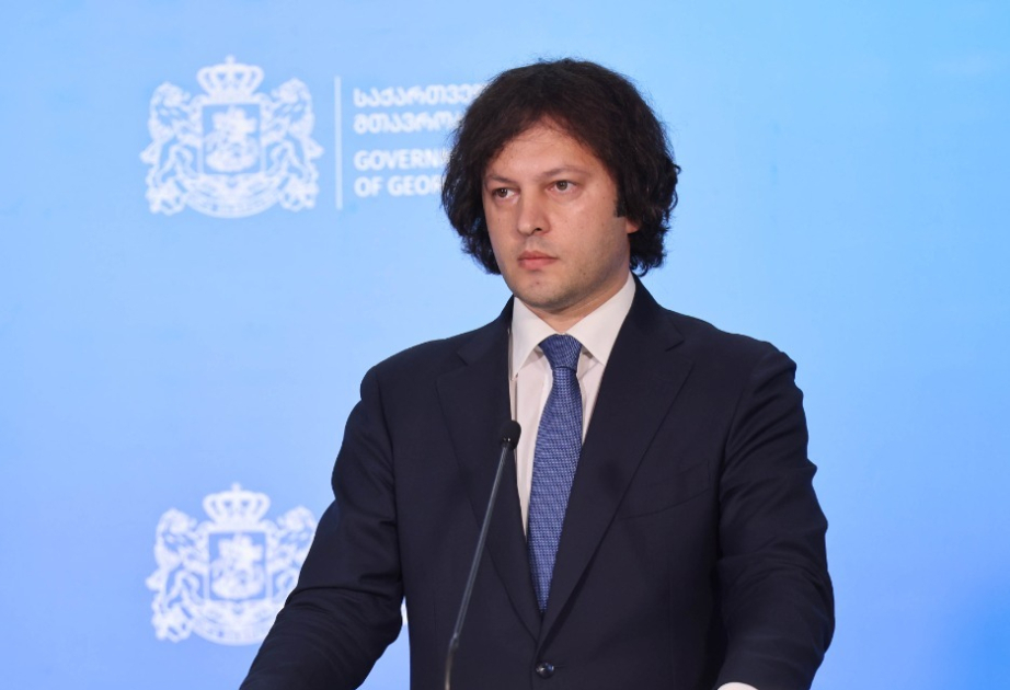 Georgian PM says BSSC facilitates Georgia to utilize its energy resources, welcomes EC's recognition of its importance