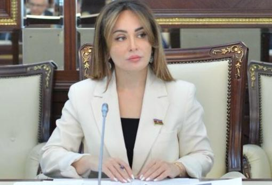 Azərbaycan azad olunmuş ərazilərdən həm də sülh mesajı verir  ŞƏRH