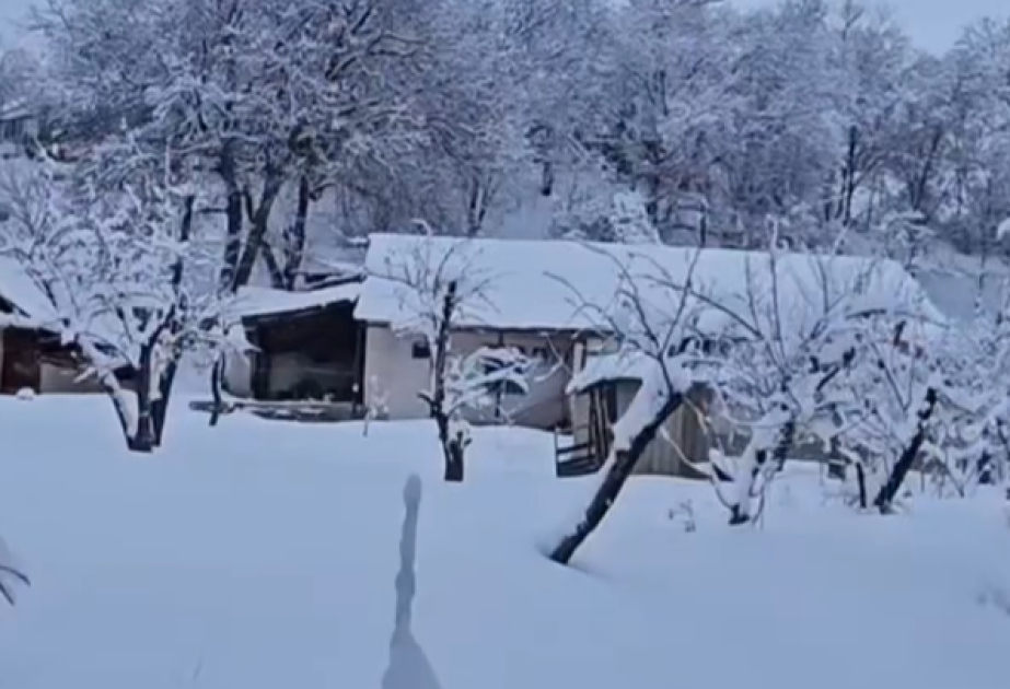 Ordubadda qarın hündürlüyü 60 santimetri keçib VİDEO