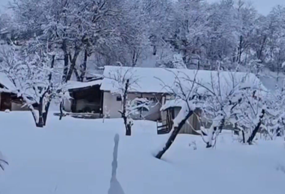 Высота снежного покрова в Ордубаде превысила 60 см ВИДЕО