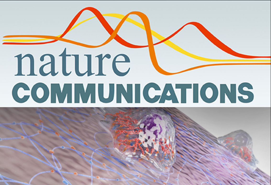 Azərbaycanlı tədqiqatçıların insan genomu ilə bağlı elmi işi “Nature Communications” jurnalında dərc olunub