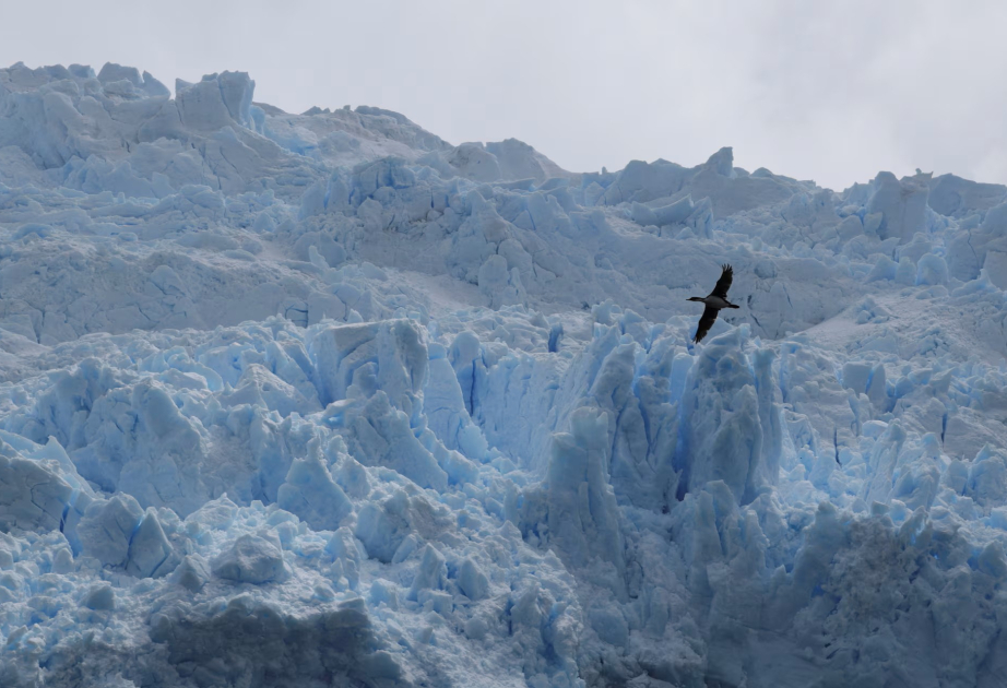 Chile creará un parque nacional en uno de los rincones más remotos del planeta