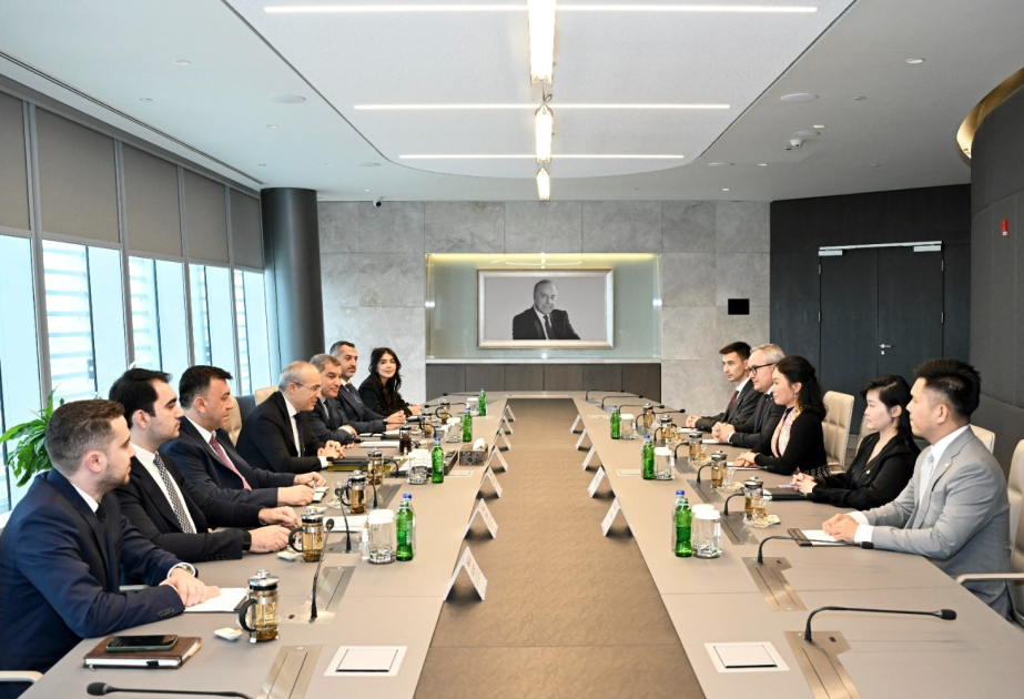 Azerbaijan, Vietnam mull cooperation on EV production