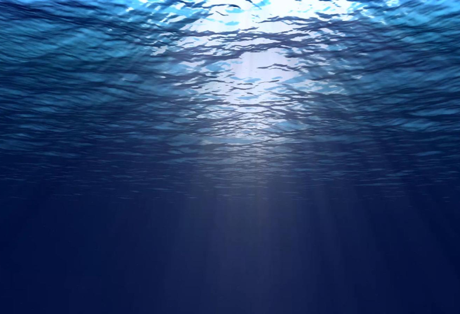 UN biodiversity treaty enters into force, aims to protect 30% of oceans by 2030