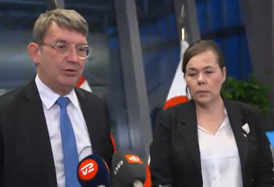 Denmark, Greenland suggest Arctic NATO mission, Danish defence minister says