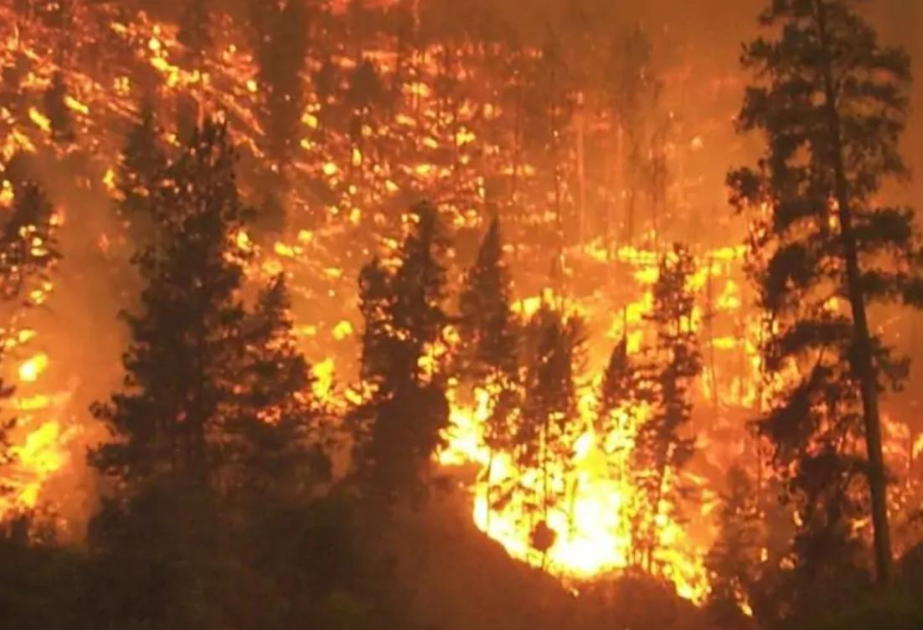 Incendies à Franschhoek : les équipes de secours luttent contre la progression des flammes