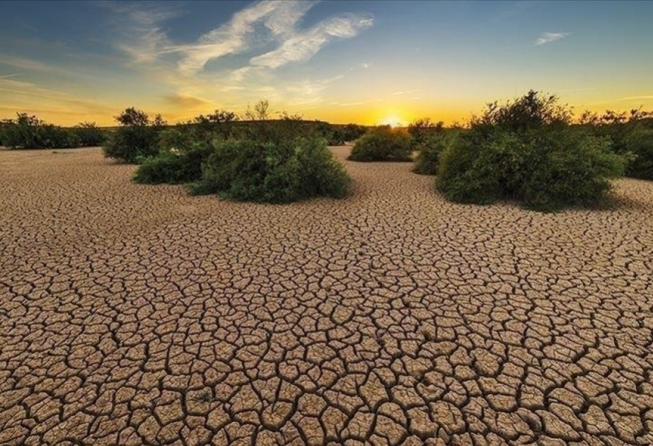 La planète vit désormais « au-delà de ses moyens » en eau, alerte un rapport de l’ONU
