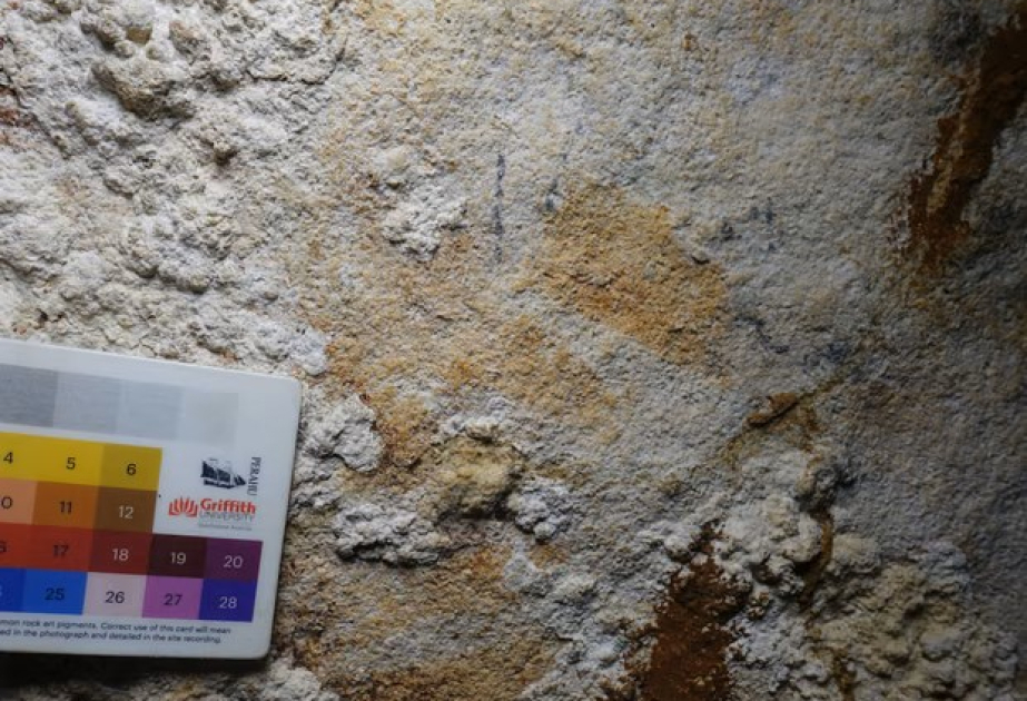 Отпечаток руки в Индонезии может оказаться древнейшим наскальным изображением в мире