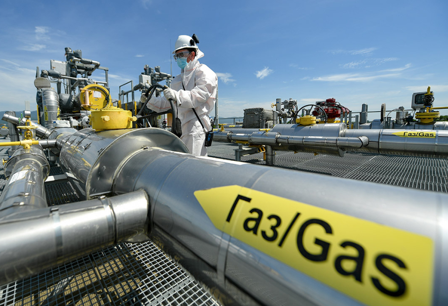 ТАСС: Совет ЕС утвердил запрет на поставки российского газа