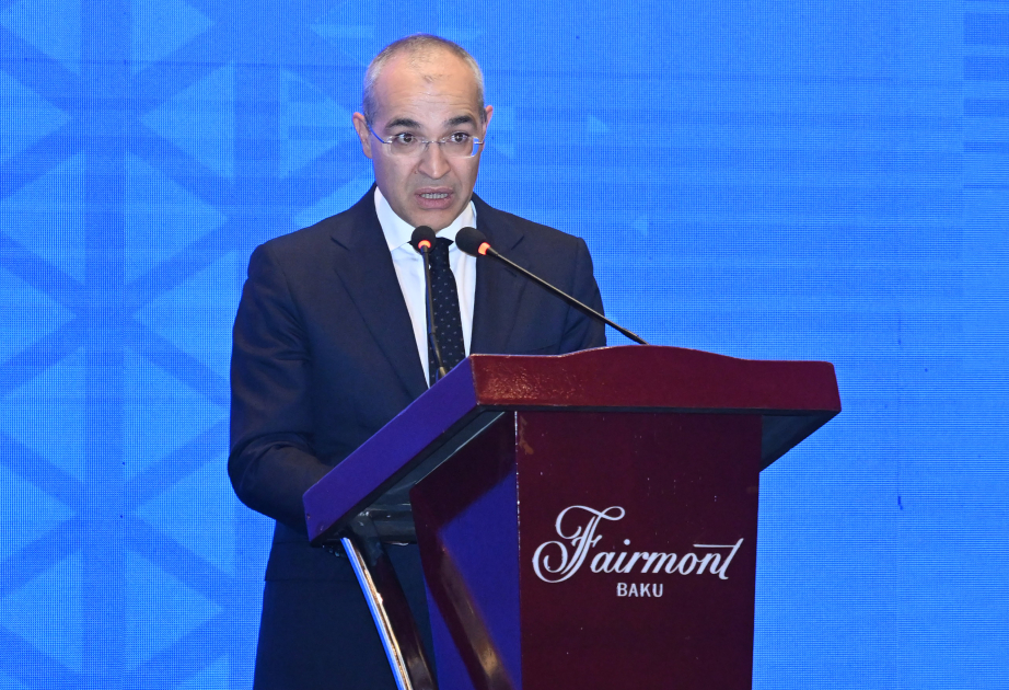 Микаил Джаббаров: Азербайджан выступает значимым инвестором в энергосекторе Израиля