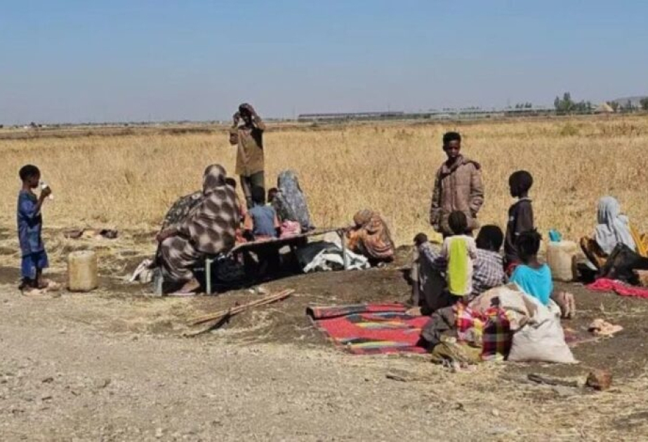 Un comité de l'ONU exprime son inquiétude face à la situation dans l'État de Jonglei, au Soudan du Sud