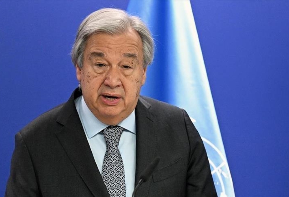 L’État de droit international, dernière digue avant « la loi de la jungle »