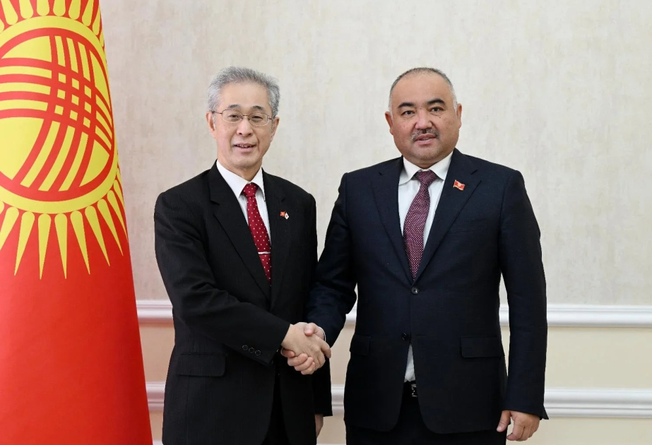 Interparliamentary relations between Kyrgyzstan and Japan discussed