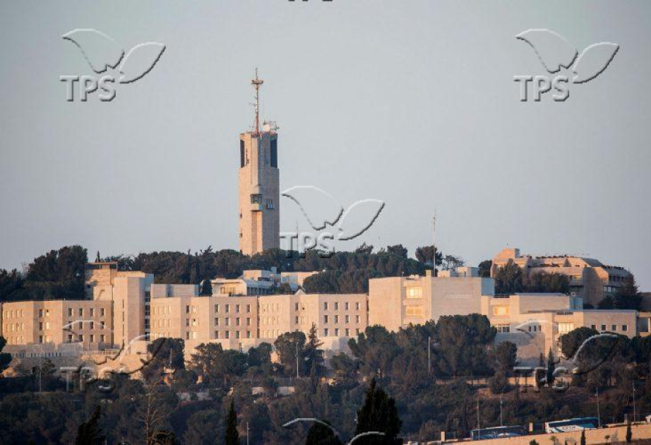 Tiny peptide offers big hope for people living with epilepsy