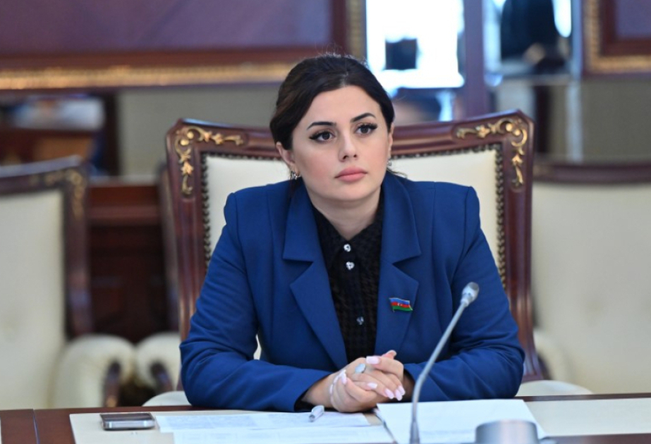 Azerbaijani MP elected Co-Chair of Global TB Caucus