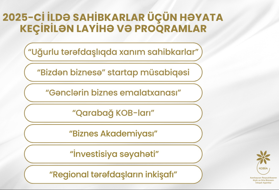 2025-ci ildə sahibkarlar üçün bir sıra layihə və proqramlar icra edilib