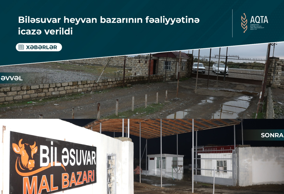 Biləsuvardakı heyvan bazarının fəaliyyətinə icazə verilib