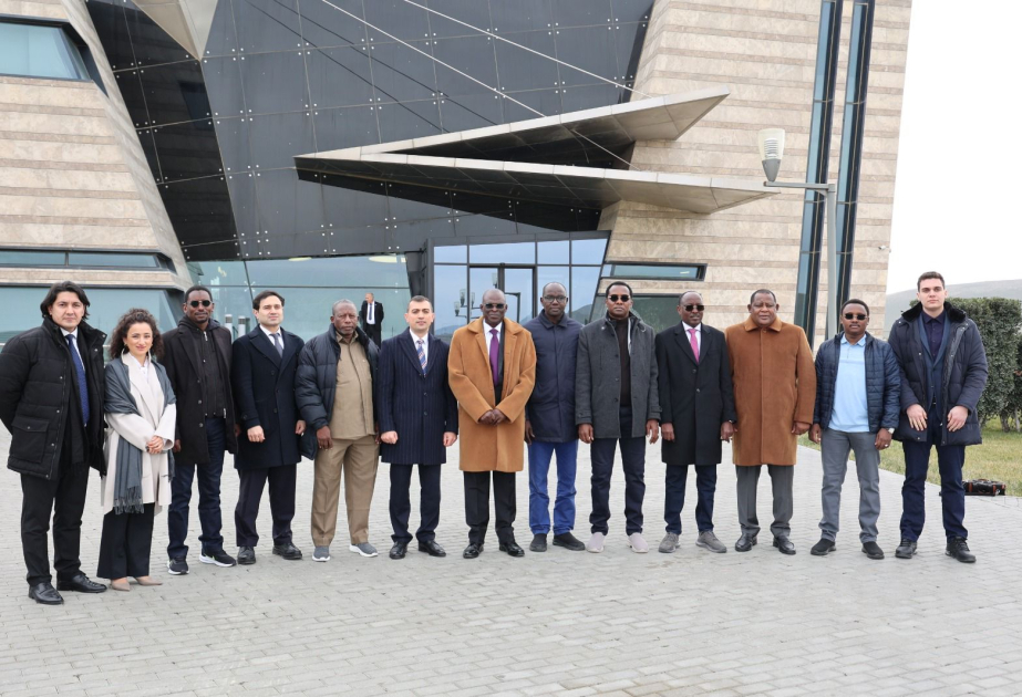 Azərbaycan və Çad peyk xidmətləri sahəsində əməkdaşlıq etməyi planlaşdırır