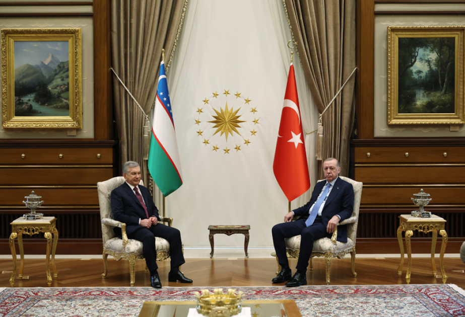 Turkic world will leave its mark on this century: President Erdogan