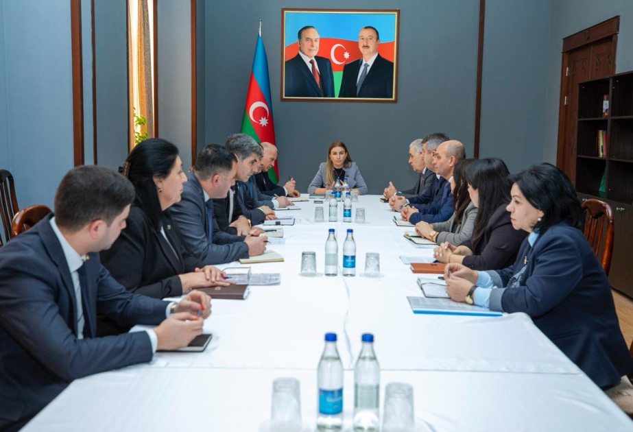 Ali Məclisin Sosial siyasət və Hüquq siyasəti komitələrinin iclasları keçirilib
