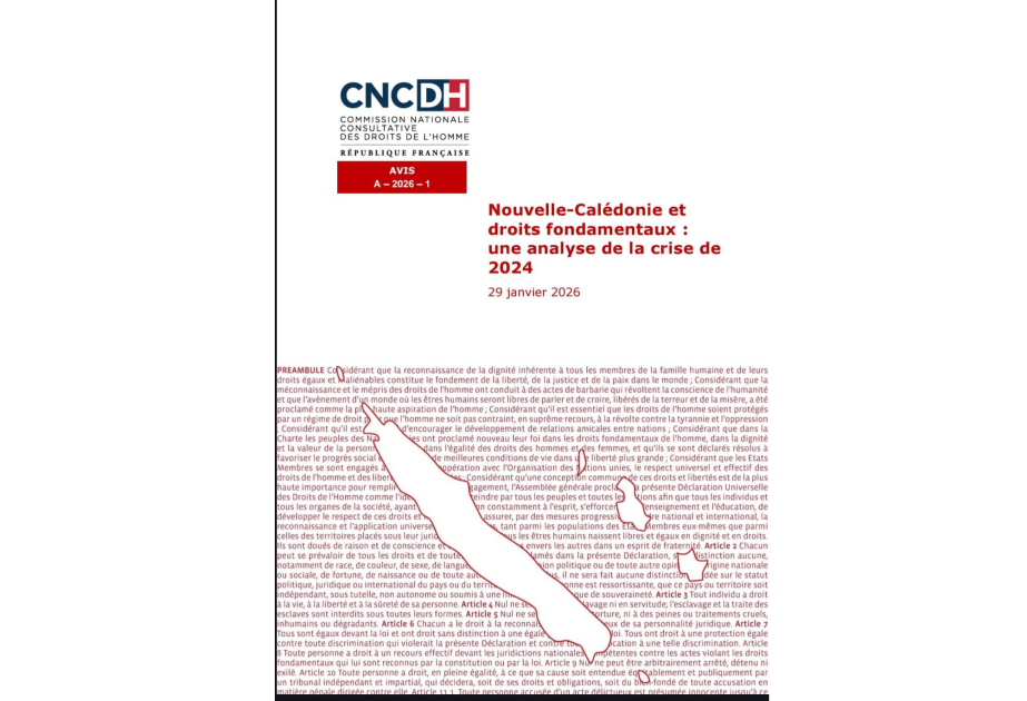 Новая Каледония: действия сил безопасности во время беспорядков и в целом судебной системы осуждены в докладе CNCDH