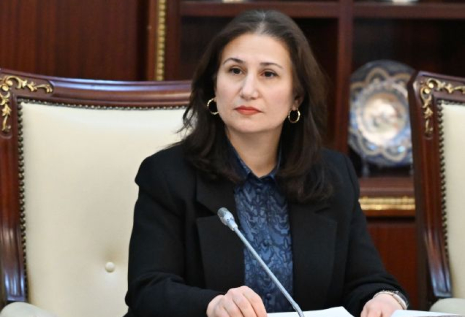 Şöbə müdiri: Yeni qanun layihəsi çətin həyat şəraitində olan uşaqlar üçün xüsusi mexanizm müəyyən edir