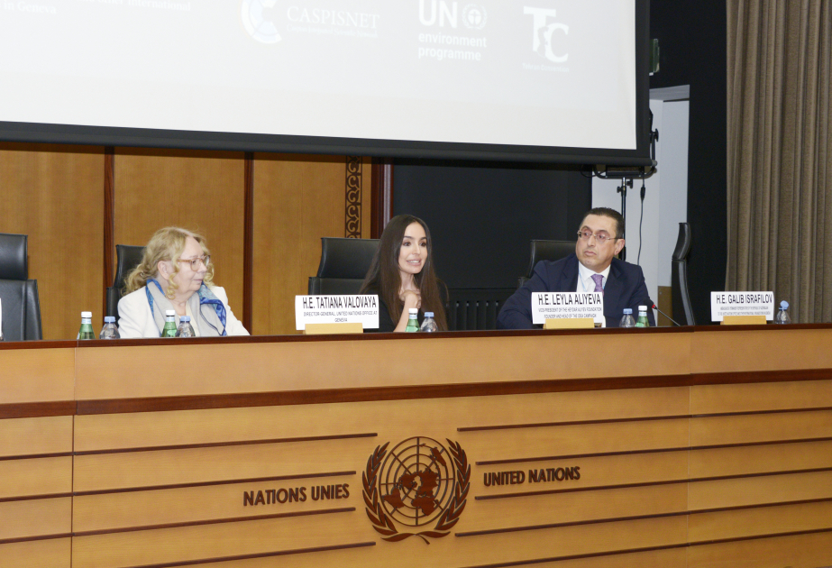 Ökologische Probleme des Kaspischen Meeres in Genf diskutiert