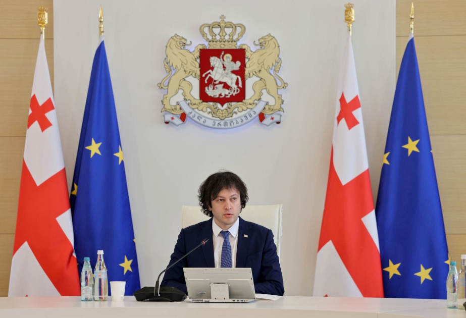 PM: Foreign funding of Georgian citizens’ political activity violates sovereignty; it is government’s duty to oppose