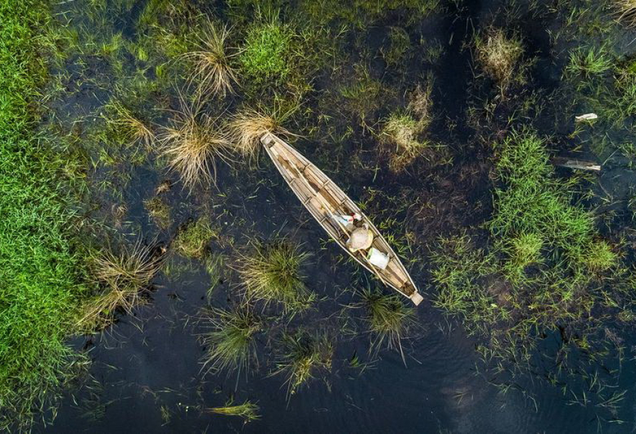Всемирный день водно-болотных угодий