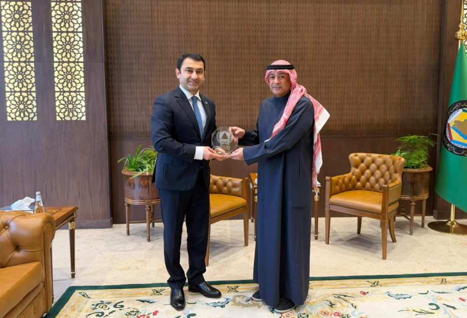 International Civil Defence Organization, Gulf Cooperation Council explore prospects for cooperation