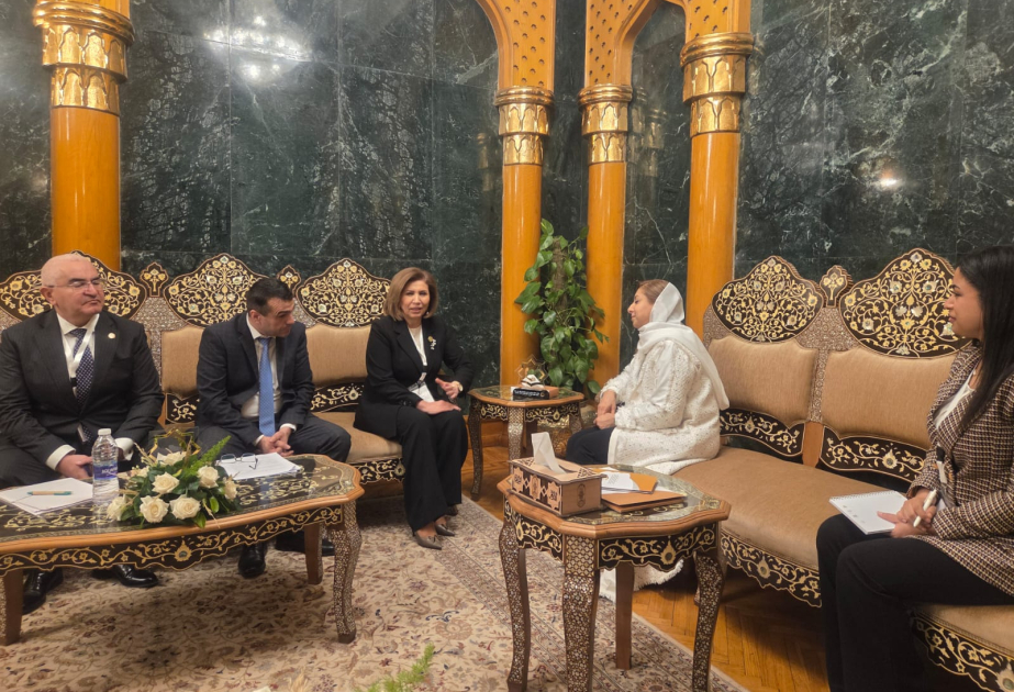 رئيسة لجنة الدولة لشؤون الأسرة والمرأة والطفل تبحث التعاون مع المدير التنفيذي لمنظمة تنمية المرأة التابعة للتعاون الإسلامي