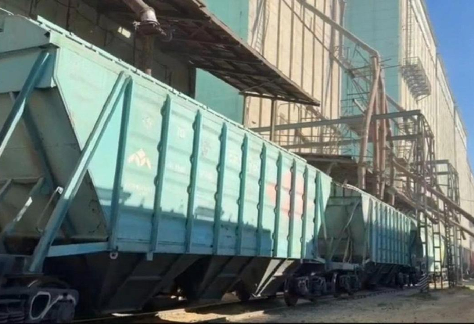 Казахстан увеличил экспорт зерна на 1 миллион тонн