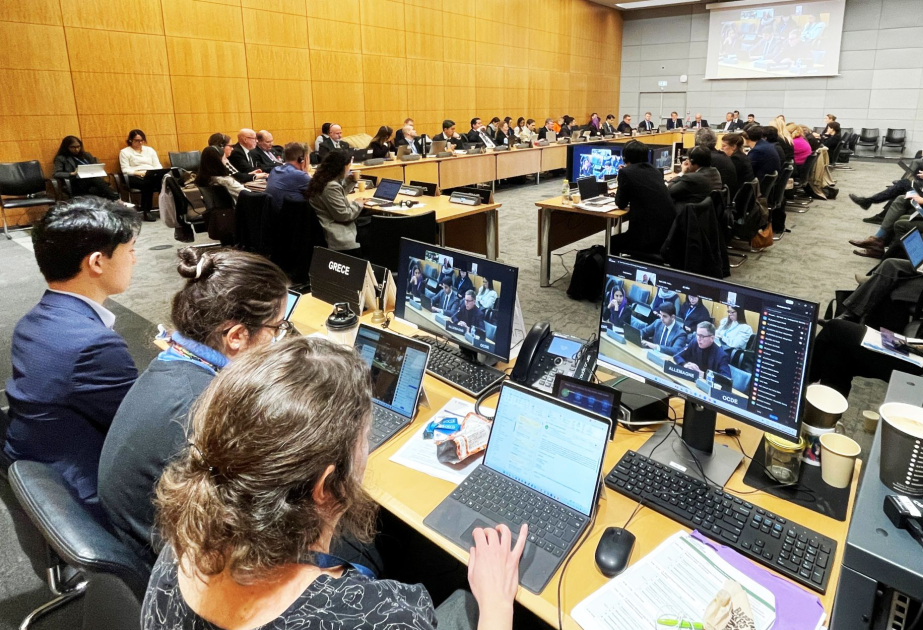International Transport Forum hails Azerbaijan's chairmanship of extraordinary session