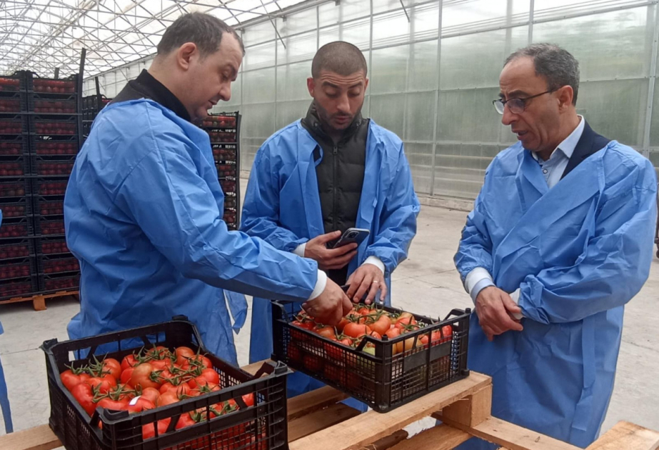 “Azexport” portalı Yaxın Şərq bazarlarına ixrac imkanlarını genişləndirir