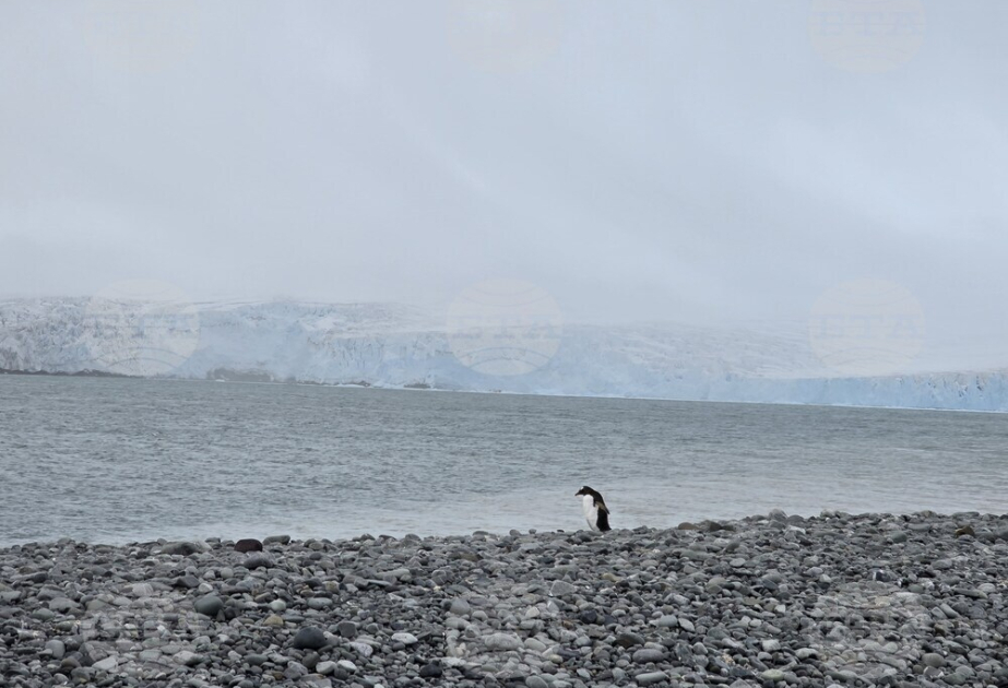 Bulgarian Antarctic research vessel reaches Hannah Point in Antarctica