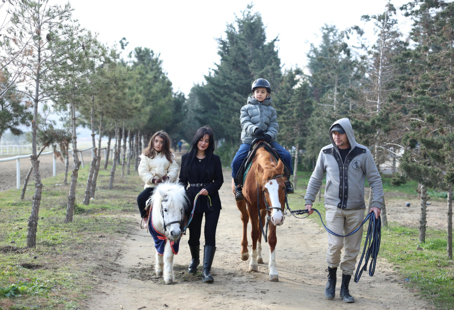 Более 1300 лиц с инвалидностью привлечены к иппотерапии