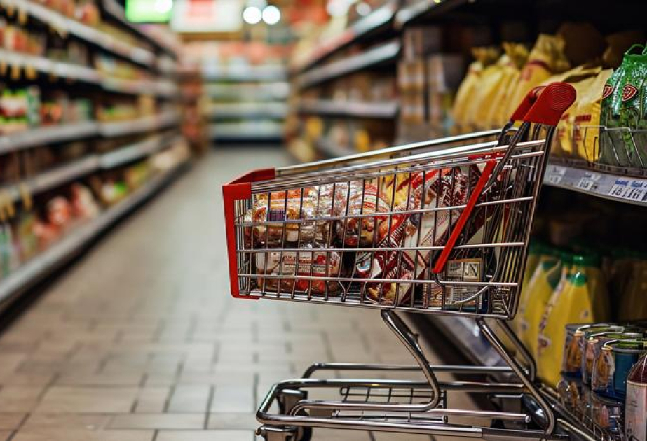 Инфляция в Турции опустилась до минимума последних 50 месяцев