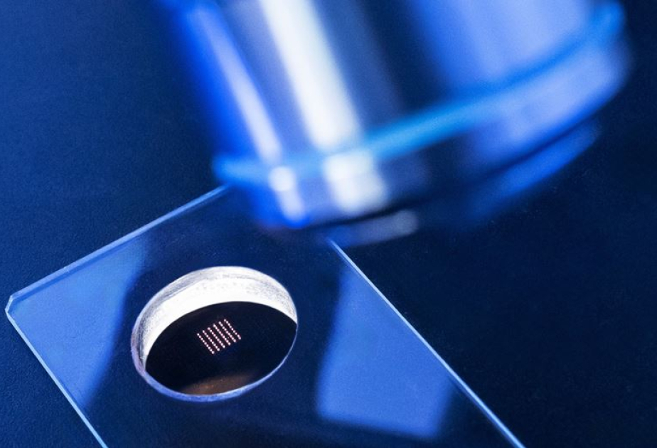 Chinese researchers pioneer flexible chip design for next-generation wearables