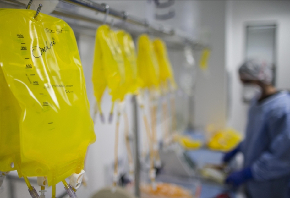 Près de quatre cas de cancer sur dix dans le monde sont liés à des causes évitables, selon l’OMS