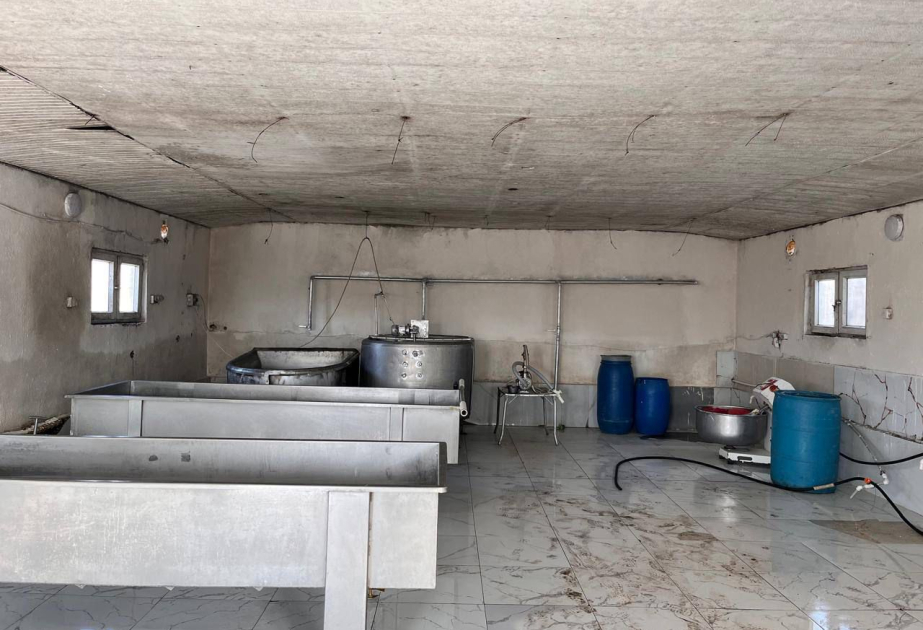 Ağcabədidə pendir sexinin fəaliyyəti məhdudlaşdırılıb