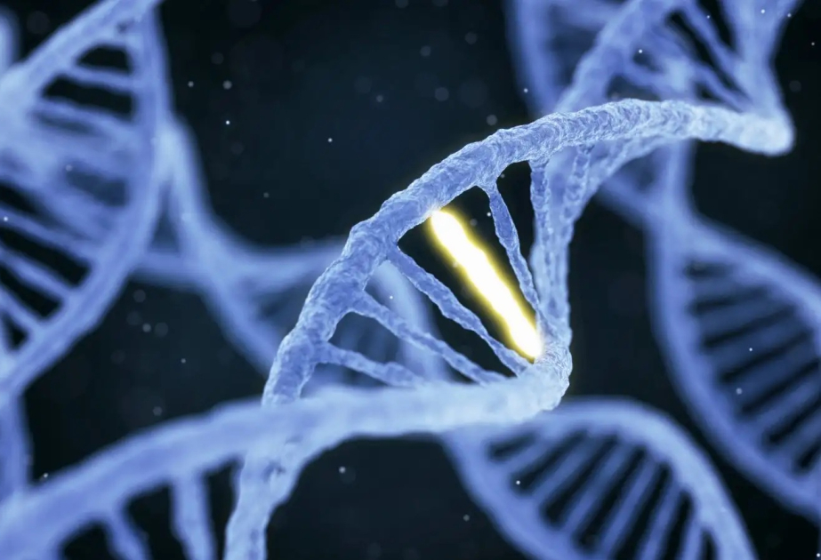 Scientists identify mutation behind resistance to new schizophrenia treatments