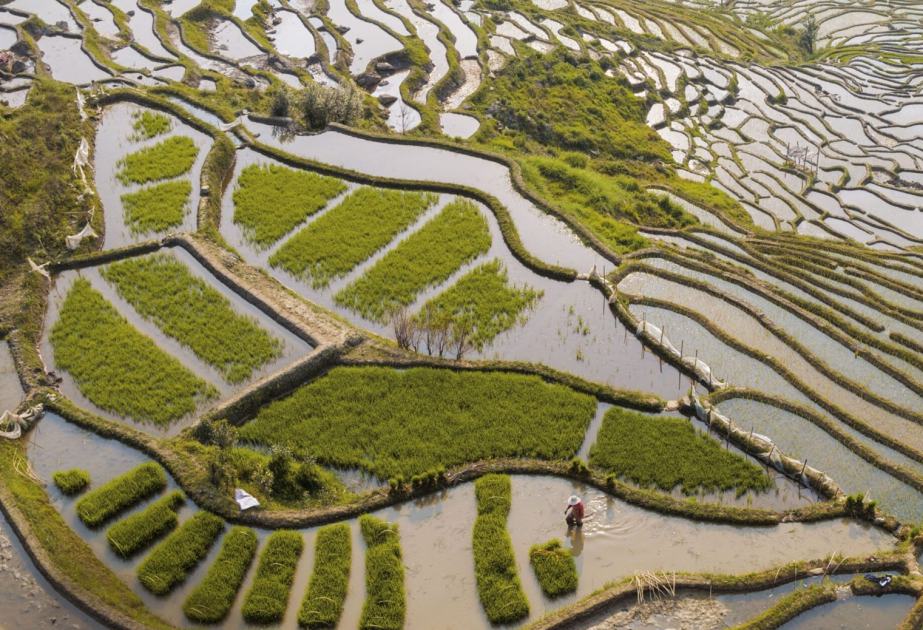 China legt Pläne zur Modernisierung der Landwirtschaft und zur Wiederbelebung des ländlichen Raums dar