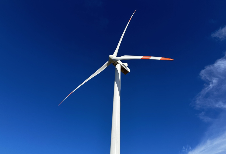 Kyrgyzstan's first wind farm starts generating power