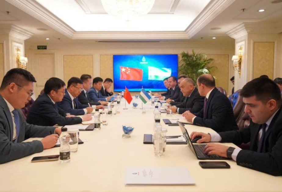 Uzbekistan and Chinese specialists reach a cooperation agreement